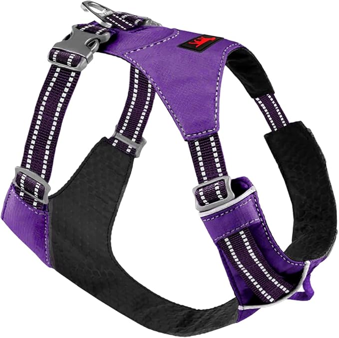 Tuff Pupper All-Day Wear Dog Harness | for Walking, Trail Running, Hiking | Front & Back Leash Clips | Reflective Trim | Easy On/Off Buckles | Lightweight Breathable | No Pull Design (XXS, Purple)