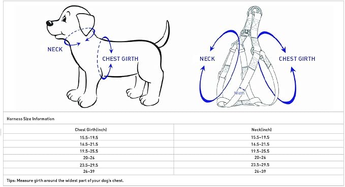 Blueberry Pet 5 Colors Soft & Comfy Step-in Paisley Flower Print Dog Harness, Chest Girth 19.5" - 25.5", Violet, S/M, Adjustable Harnesses for Dogs