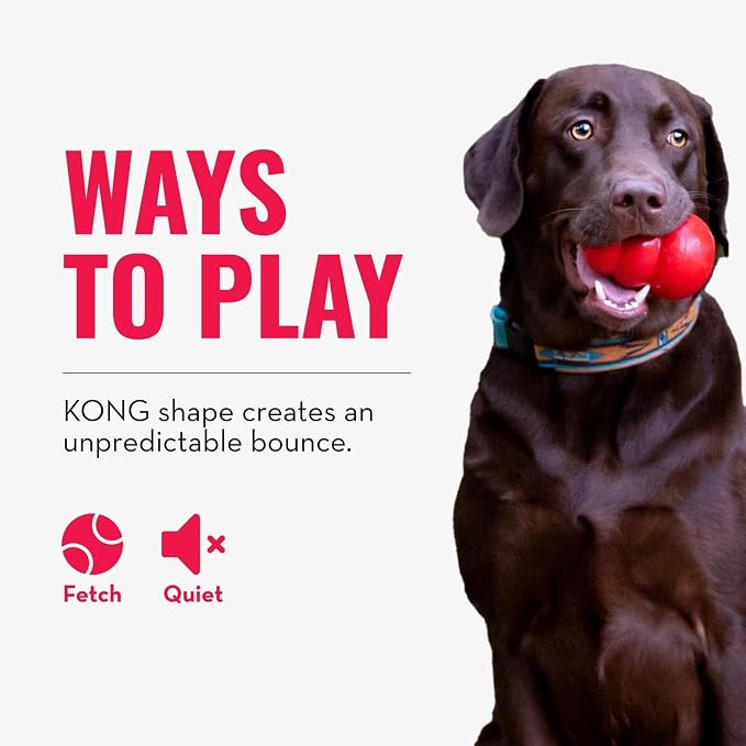 KONG Bounzer, Lightweight Rubber Fetch and Retrieve Toy, for X-Large Dogs | Lightweight Oversized Classic-Shaped Rubber Toy with a Top Handle, Bounces Back for Fetch & Retrieve