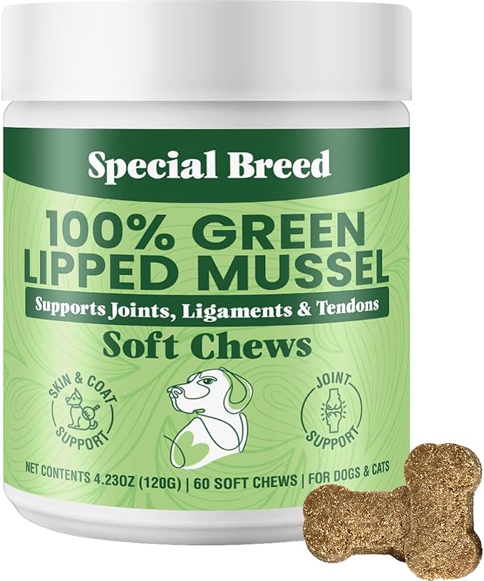 Special Breed Green Lipped Mussel for Dogs & Cats - 60 Soft Chews - New Zealand Green Lipped Mussels - Natural Hip & Joint Supplement for Joints, Tendons, Ligaments, Muscles