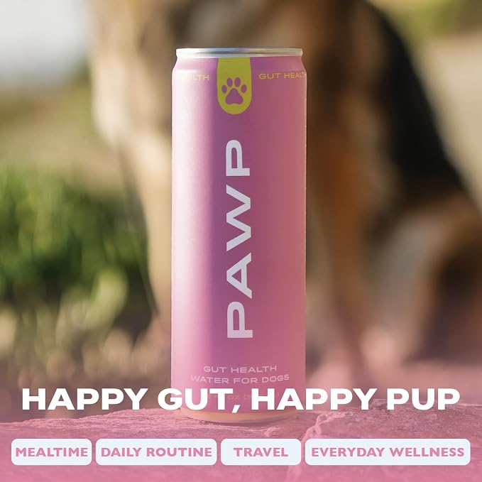 Gut Health Hydration for Dogs by PAWP WATER | Prebiotic & Postbiotic | Supports Digestion, Gut Balance & Immune Health | 6 Resealable 12 oz Cans