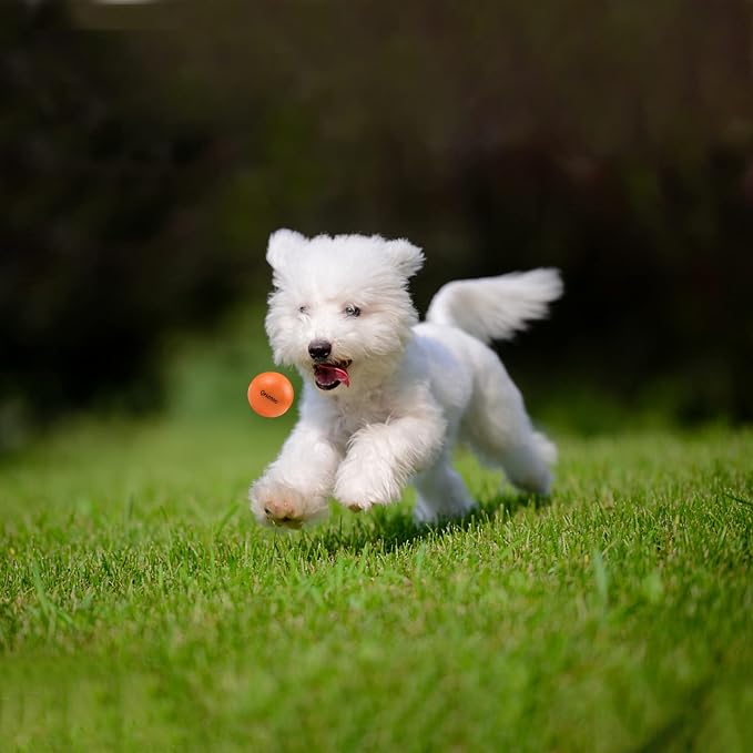 Dog Balls Indestructible, Solid Rubber Bouncy, Small Breed, Orange, 2in