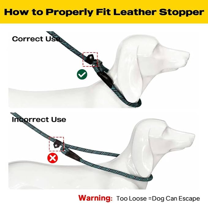 Fida Durable Slip Lead Dog Leash, 6 FT x 3/8" Heavy Duty Comfortable Strong Rope Slip Lead for Small Dogs and Puppies, No Pull Pet Training Lead with Highly Reflective(3/8", Blue)
