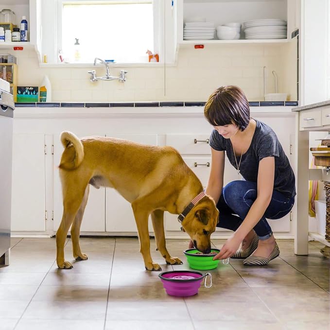 Kytely Large Collapsible Dog Bowls, 2 Pack, 34oz, Green+Purple