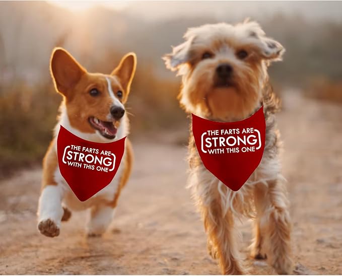 JXGZSO 1 Piece The Farts are Strong with This One Dog Bandana Funny Dog, Red