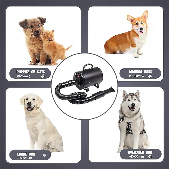 2800w 75m/s Pet Dryer Stepless Adjustable Speed Temperature Dogs Grooming Blow Dryer with Heater for Pets Hair Dryer