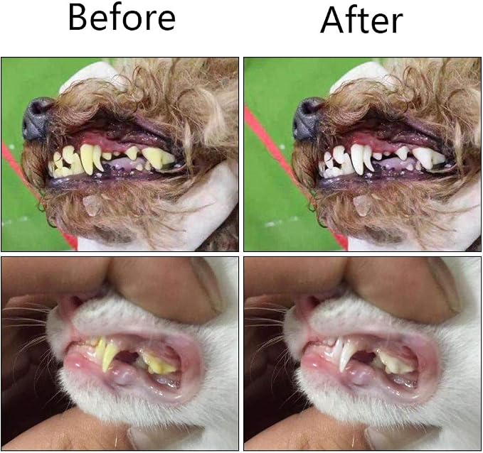 Orgrimmar 2 Pcs 3-Sided Pet Toothbrush Dog Cat Mouth Dental Teeth Care | Pet Brush for Bad Breath Tartar Cleaning