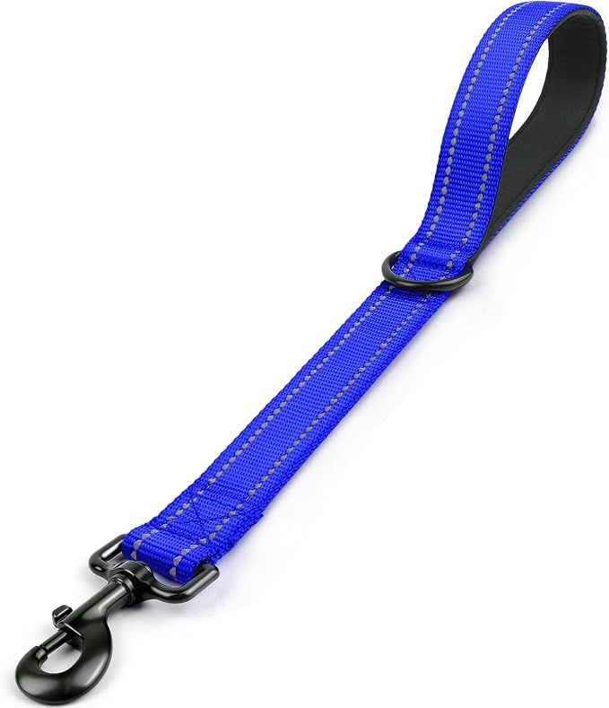 Joytale Short Dog Leash for Close Control & Training, 18", Royal Blue | Padded Comfort Handle, Reinforced Nylon Webbing, Secure Metal Clip, for Busy Streets & Heel Training
