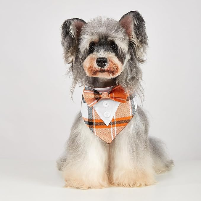 Fall Dog Tuxedo Bandana, Large, Small, Orange