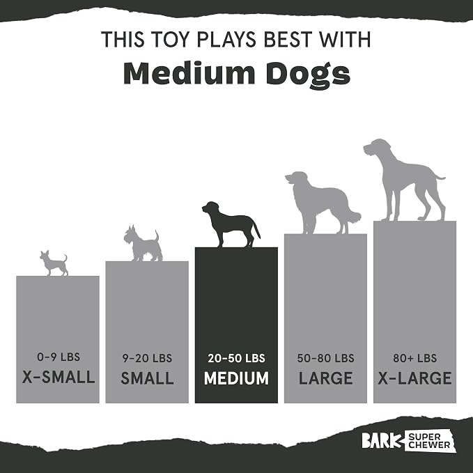 BarkBox Jelly Fetch Dog Toy - for Medium Dogs | Perfect for Tug and Fetch Play, Durable Design with Strong Nylon Straps for Long-Lasting Fun