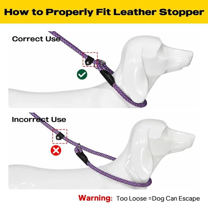 Fida Durable Slip Lead Dog Leash Bulk Pack of 5, Heavy Duty 1/2" x 6 FT Comfortable Strong Rope Slip Lead for Large, Medium Dogs No Pull Pet Training Leash with Highly Reflective, Purple