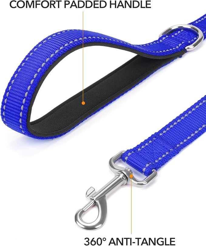 Taglory Reflective Dog Leash for Medium Large Dogs, 1in x 6ft, Navy Blue | Ideal for Night Walking, Strong for Sudden Pulls, Lightweight & Gentle on the Neck, Soft Padded Handle