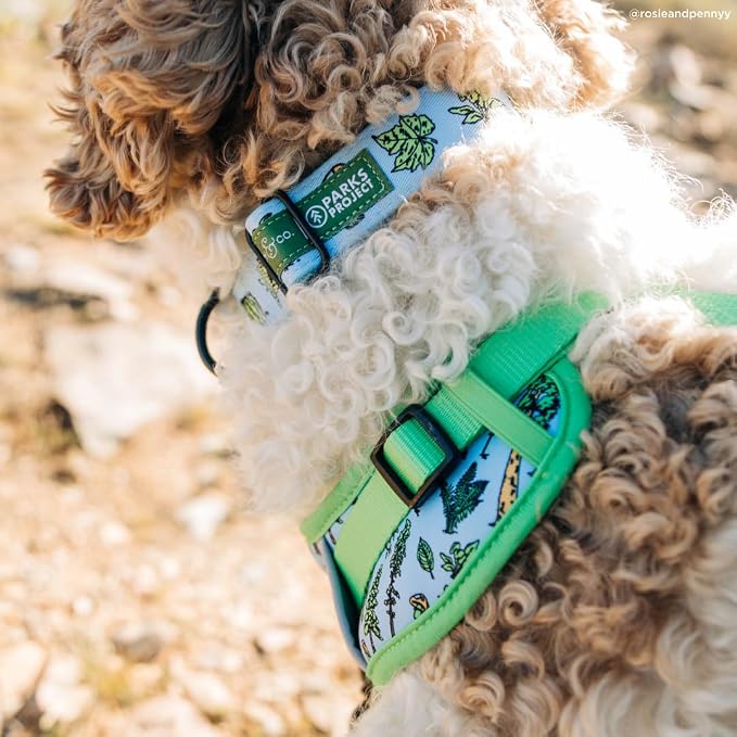 Lucy & Co. x Parks Project Feel the Earth Breath No-Pull Dog Harness, Adjustable Front Clip Harness with Comfort Padding, Small