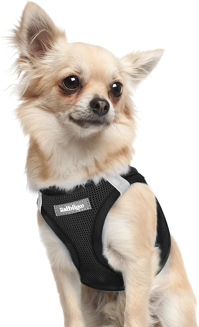 rabbitgoo Step-in Small Dog Harness, Puppy Vest for Small Sized Pet | Easy Put on and off, Lightweight, Soft, Breathable Quick-Dry Air Mesh for Comfortable Secure Walking, Black XXXS