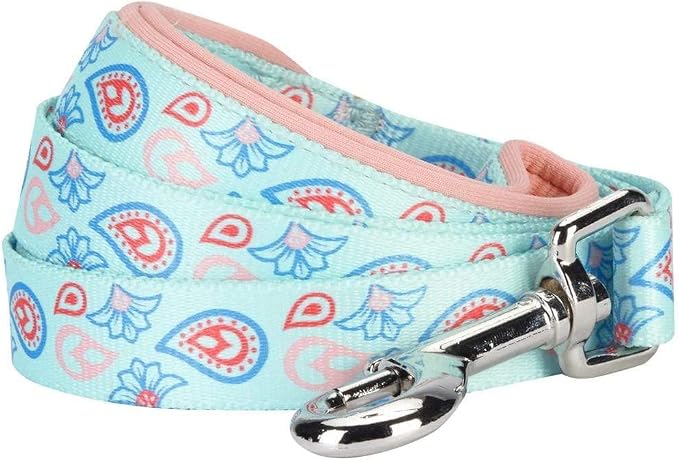 Blueberry Pet 5 Colors Paisley Flower Print Dog Leash with Soft & Comfortable Handle, 4 ft x 1", Pastel Blue, Large, Leashes for Dogs