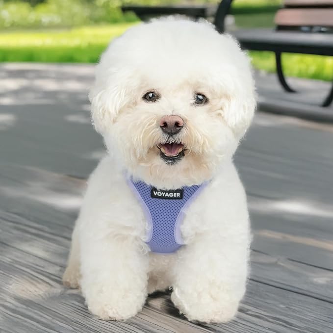Voyager Step-in Air Dog Vest Harness - Lavender, X-Large | 20.5 - 23" in Chest, Reflective Bands, All Weather Breathable Air Mesh, Cats Compatible, Lightweight, Fast Drying