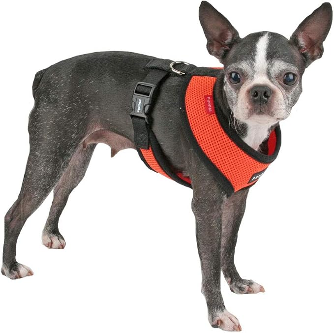 Puppia Soft Dog Harness No Choke Over-The-Head Triple Layered Breathable Mesh Adjustable Chest Belt and Quick-Release Buckle, Orange, Medium (Pack of 3)