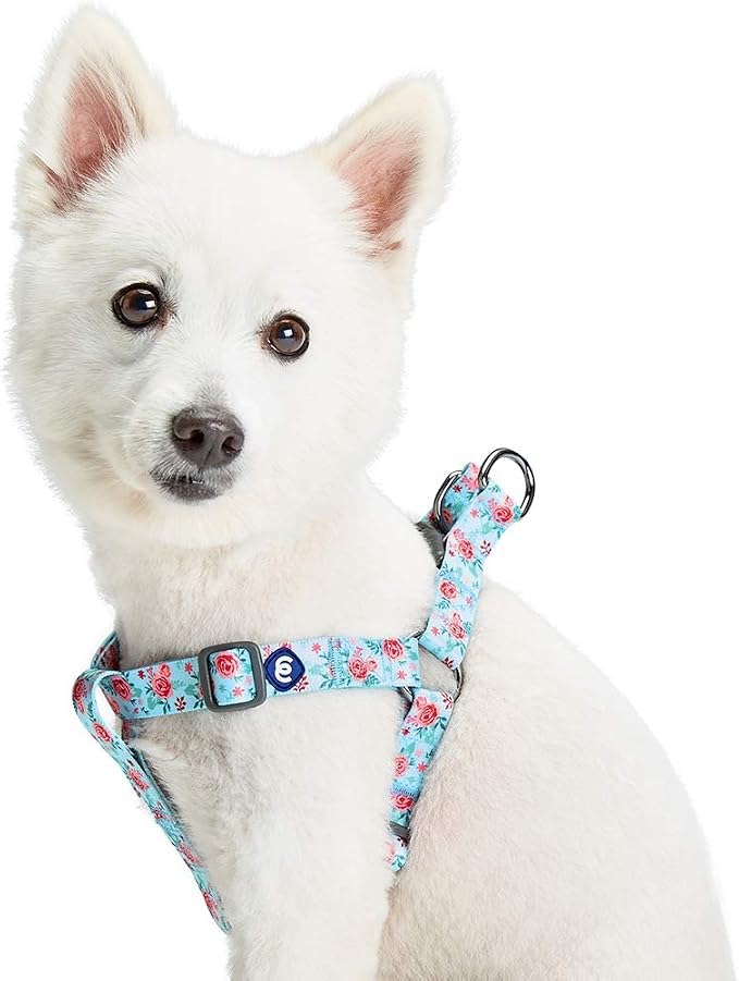Blueberry Pet Essentials Step-in Spring Scent Inspired Garden Floral Dog Harness in Pastel Blue, Chest Girth 20" - 26", Medium, Adjustable Harnesses for Dogs