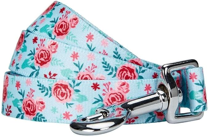 Blueberry Pet Essentials Spring Scent Inspired Garden Floral Dog Leash in Pastel Blue, 5 ft x 3/4", Medium, Leashes for Dogs