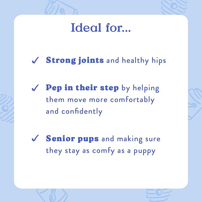 Bocce's Bakery Hip & Joint Supplement Chews, PB & Honey Flavor (60 ct) | Supports Healthy Joints for Dogs - Made in The USA with Glucosamine, MSM, and Chondroitin