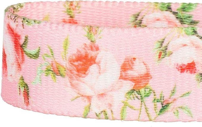 Blueberry Pet 9 Patterns Durable Spring Scent Inspired Floral Rose Baby Pink Dog Leash 5 ft x 3/8" for Puppy, X-Small, Leashes for Dogs