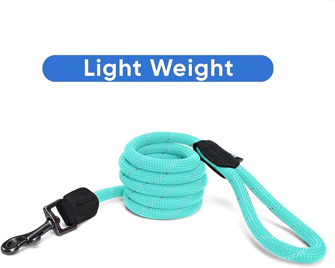 Pawtitas 6FT Training Dog Leash Durable Medium Rope Leash for Dogs Premium Quality Heavy Duty Rope Lead Strong and Comfortable - Teal Puppy Leash
