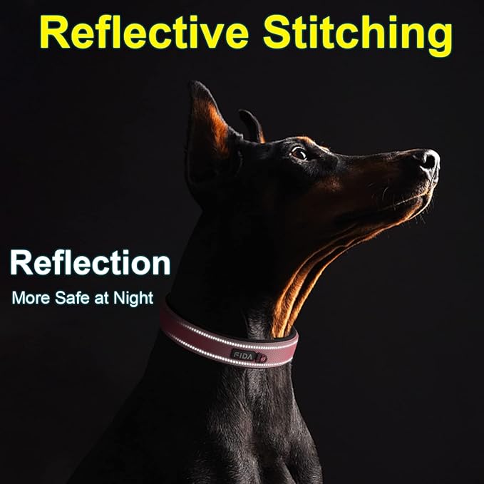 Fida Padded Dog Collar for Small Dogs with Metal Belt Buckle, Pink | Soft Neoprene Padded for Extra Comfort, Durable Nylon Webbing, Adjustable Fit, Reflective Stitching for Night Safety