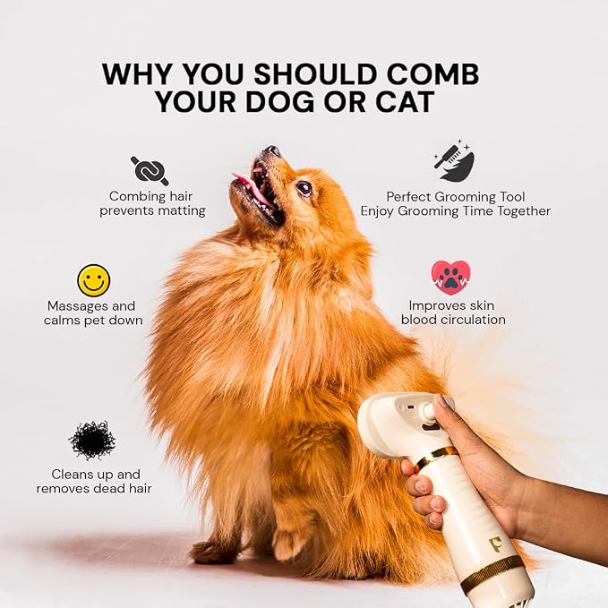 Pet Steam Brush Grooming Dryer for Dogs & Cats – 3-in-1 Grooming Tool with Gentle Steam, 600W Motor, Deshedding, Drying & Fur Fluffing for All Coat Types