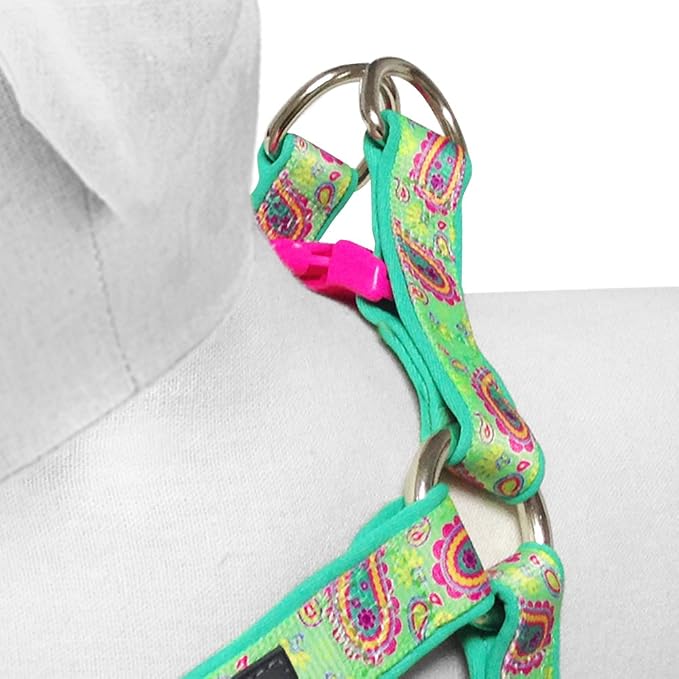 Blueberry Pet 5 Colors Soft & Comfy Step-in Paisley Flower Print Dog Harness, Chest Girth 16.5" - 21.5", Emerald Green, Small, Adjustable Harnesses for Dogs