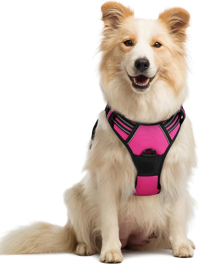rabbitgoo Dog Harness, No Pull Medium Sized with 2 Leash Clips, Pet Vest | No Choke with Handle, Adjustable Soft Padded, Reflective, Easy Control for Walking, Hot Pink, Medium