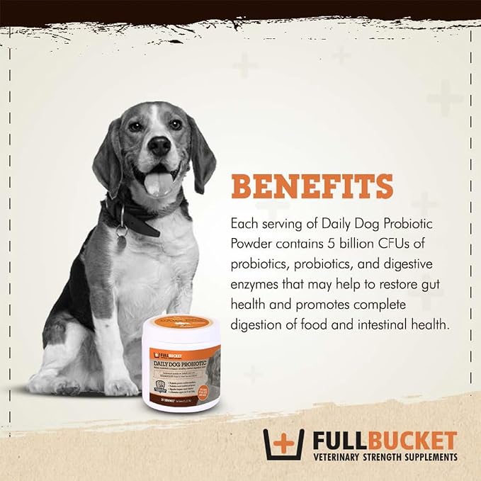 FullBucket Daily Dog Probiotic 30 Servings - Support Natural Digestion, Treat & Prevent Diarrhea - Probiotics, Prebiotics & Digestive Enzymes All in One Tasty Probiotic Powder for Dogs