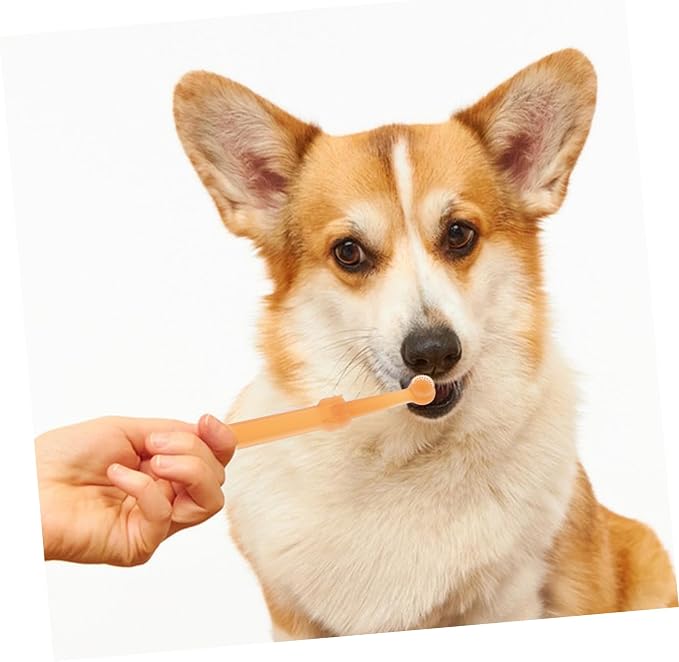 Toyvian Cat and Dog Toothbrush Set Dual Head Silicone Pet Toothbrush for Gentle Cleaning Soft Bristles for Cats and Small Dogs Portable Pet Oral Care Tool