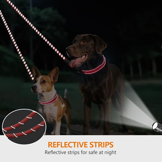 Taglory Double Dog Leash Coupler for Two Dogs, 1/3" Lightweight Dual Leash Extension for Small and Medium Dogs, No Tangle 360° Swivel, Reflective Rope, 30 Inch, Red