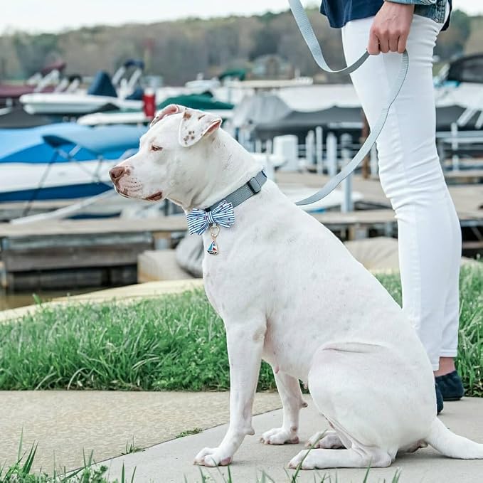 Blueberry Pet Essentials Flint Gray Dog Leash for Medium - 5' * 3/4" Dogs | Heavy Duty Nylon Lead | Lightweight Puppy & Cat Leash for Walking & Training