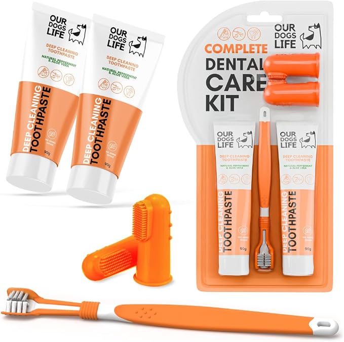 Dog Toothbrush with Toothpaste | Approved Dog Dental Kit | Triple Headed Deep Cleaning Toothbrush for Dogs + 100% Natural Tooth-Paste | Freshen Breathe & Remove Plaque (Dental Kit)