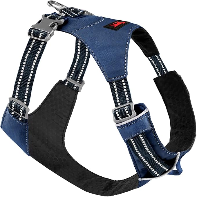 Tuff Pupper All-Day Wear Dog Harness | for Walking, Trail Running, Hiking | Front & Back Leash Clips | Reflective Trim | Easy On/Off Buckles | Lightweight Breathable | No Pull Design (Medium, Blue)