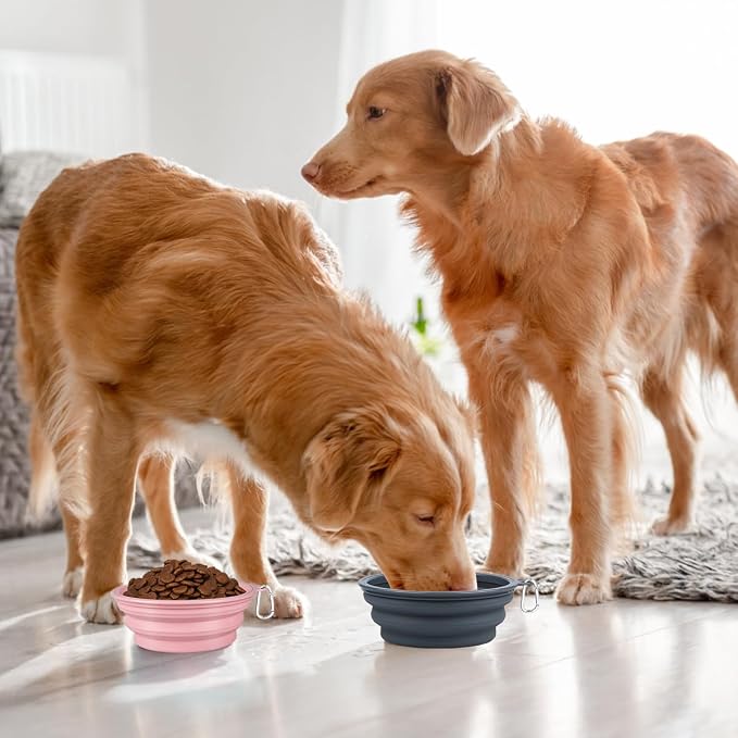 Kytely Collapsible Dog Bowls, X-Large 1500ml, 2 Pack, Pink & Grey