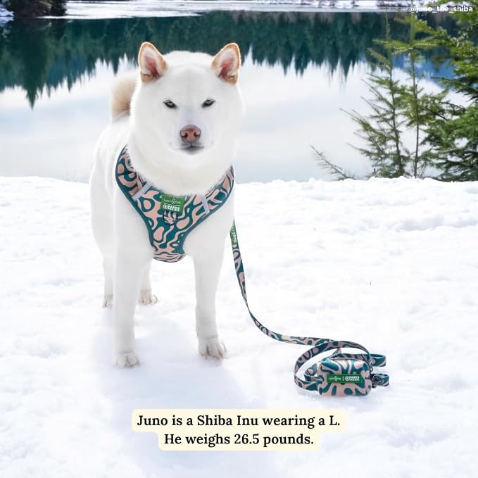 Lucy & Co. x Parks Project Geyser No-Pull Dog Harness, Adjustable Front Clip Harness with Comfort Padding, Large