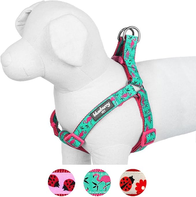 Blueberry Pet Essentials 2 Patterns Step-in Pink Flamingo on Light Emerald Dog Harness, Chest Girth 20" - 26", Medium, Adjustable Harnesses for Dogs