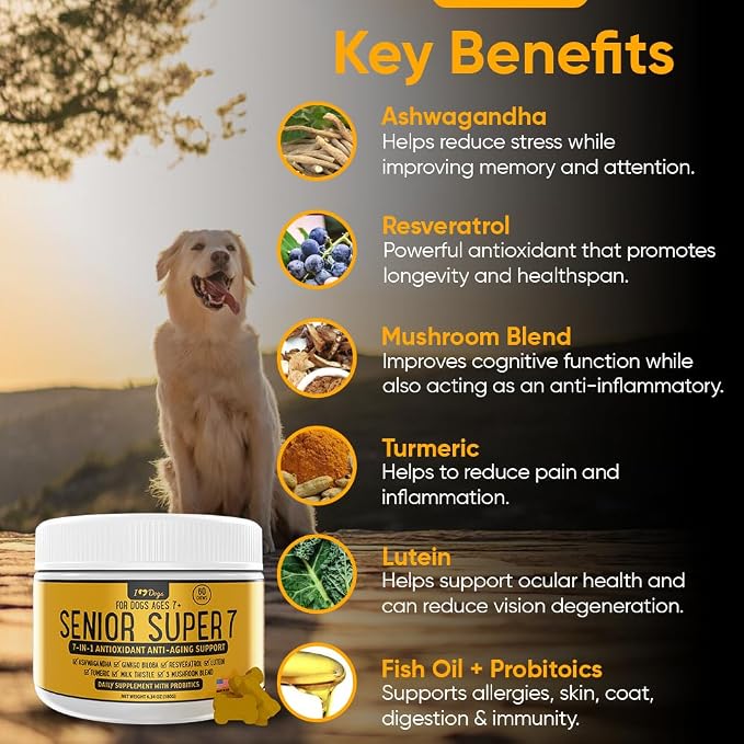 iHeartDogs Senior Super 7 Dog Multivitamin with Probiotics, 60 Chews | Anti-Aging with Antioxidants, Probiotics, Lion's Mane, Turkey Tail, Ashwagandha, Supports Longevity & Cognitive Boost