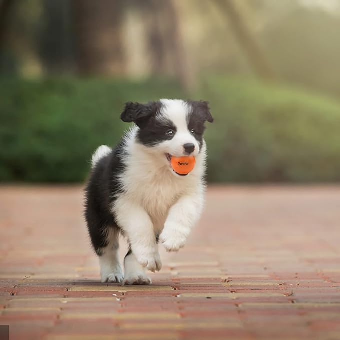 Dog Balls Indestructible, Solid Rubber Bouncy, Small Breed, Orange, 2in