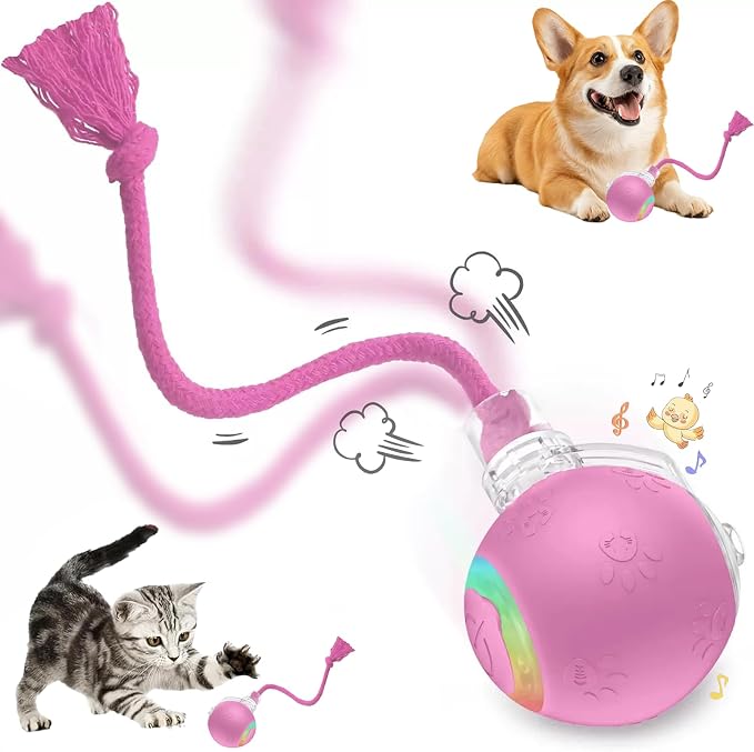 Speed 2.0 Tail Interactive Cat Toys, Rechargeable Ball for Indoor Cats | Motion-Activated Rolling Ball with Chirping Sounds, Cat Toys Interactive for Kittens and Adult Cats, Enrichment and Exercise