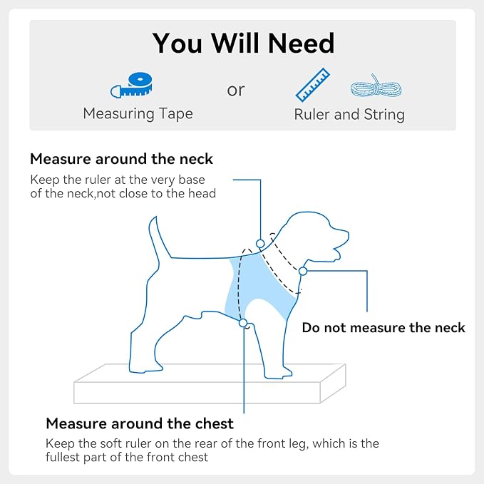 Joytale Step-in Dog Harness, Soft Breathable Mesh, Sky Blue XXXS | Adjustable Fit for Small Dogs, Easy Step-in with Secure Fastener, Even Chest Pressure, Reflective For Night Safety, Washable