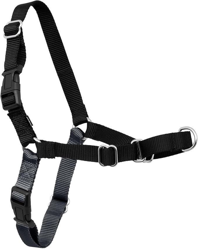 PetSafe Easy Walk Harness for Dogs - Pull-Free Walks - Patented Martingale Loop Design - Front Chest Leash Attachment - Comfort Straps - Breathable Harness Design - Small, Charcoal/Black