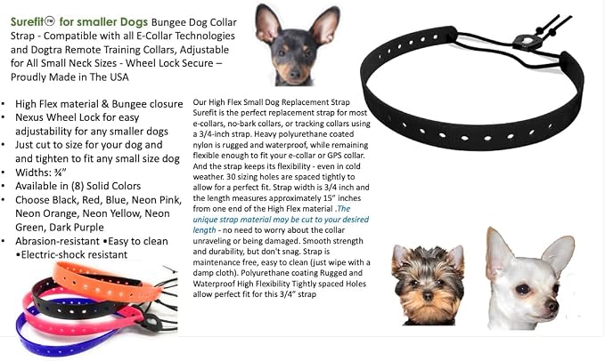Replacement GPS eCollar with Adjustable Bungee, Multi-Hole Design, and Secure Toggle Closure for Small Dogs (Reflective Purple, Small Neck)