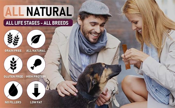 Pet Jerky Factory Chicken and Sweet Potato Dog Jerky Treats - 5 oz
