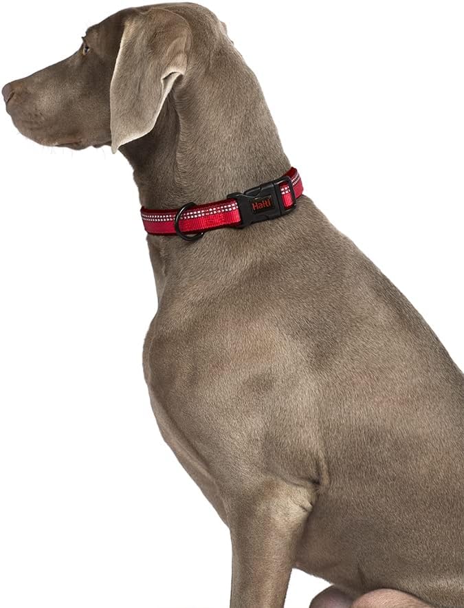 Halti Dog Collar | Size L, Red