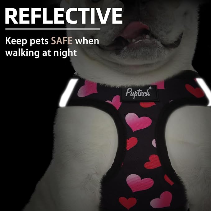 PUPTECK Dog Harness and Leash Set for Small Medium Dogs No Pull Step-in Soft Mesh Puppy Cat Vest Valentine Harnesses Reflective at Night, Black&Pink Heart, XS
