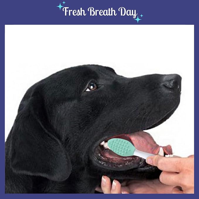 Pets Silicone Soft Head Dog cat with Toothbrush Dog cat Teeth Cleaning Health Care（4-Parks）