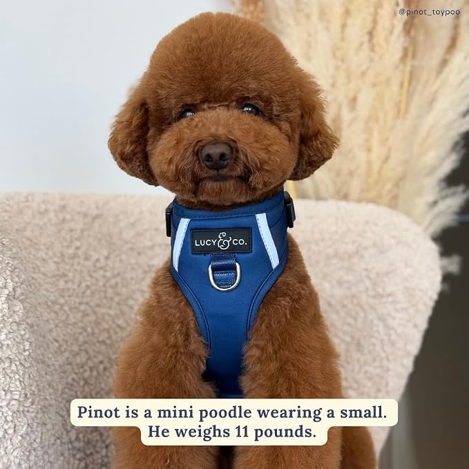 Lucy & Co. The Bolt of Lightning No-Pull Dog Harness for Dogs – Vest to Stop Pulling & Walk Easy – Comfortable Leash Training Product w/Adjustable Chest & Neck Straps - Navy - Large